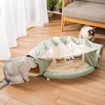 cat entering a tunnel hideout bed