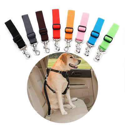 seat belt for dogs in car