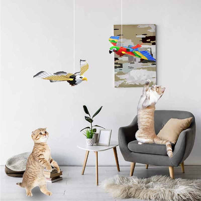 cat playing with electric flying bird toys