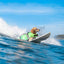 dog surfing a wave and wearing a life jacket