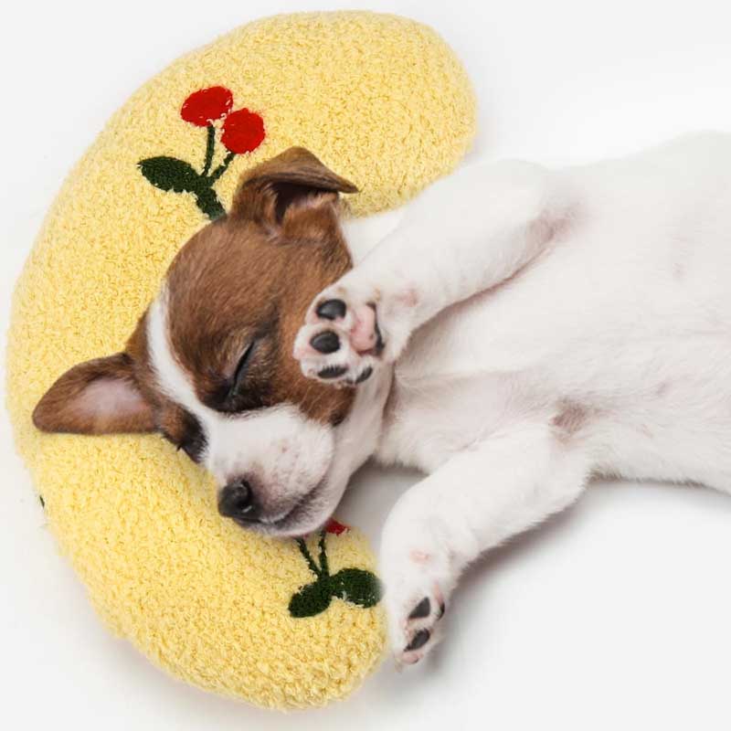 puppy sleeping on his calming pillow for dogs