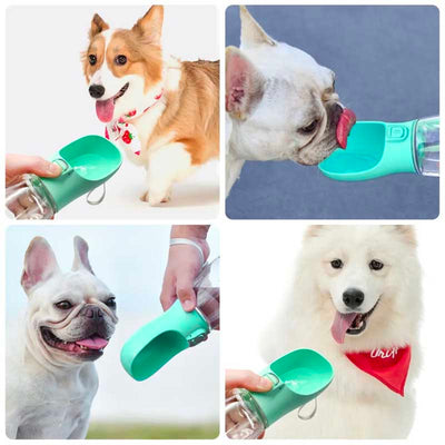 dogs drinking from multifunctional and portable water bottle