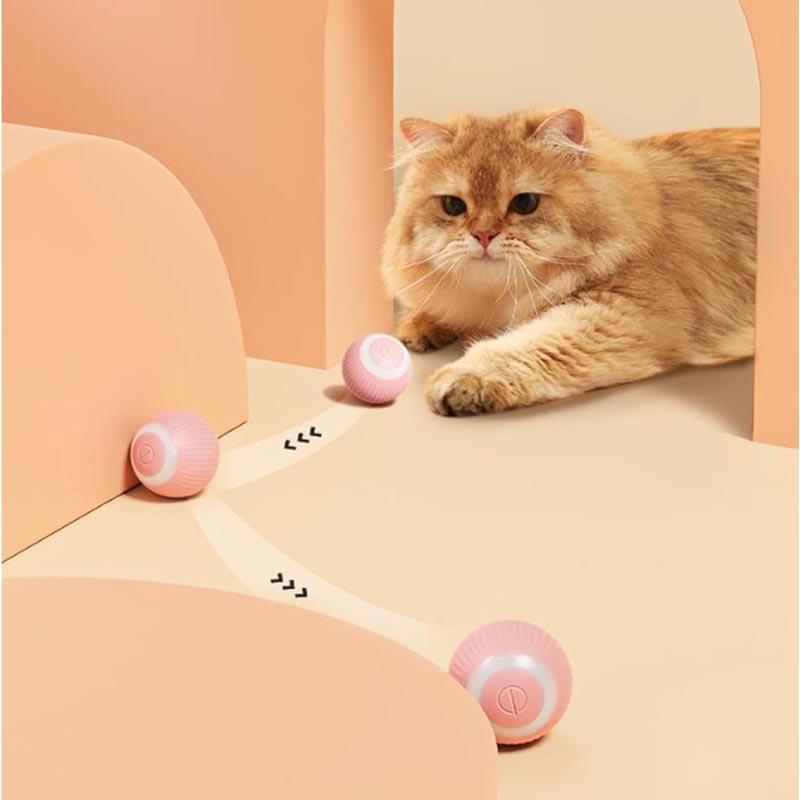 cat playing with electrtic toy ball