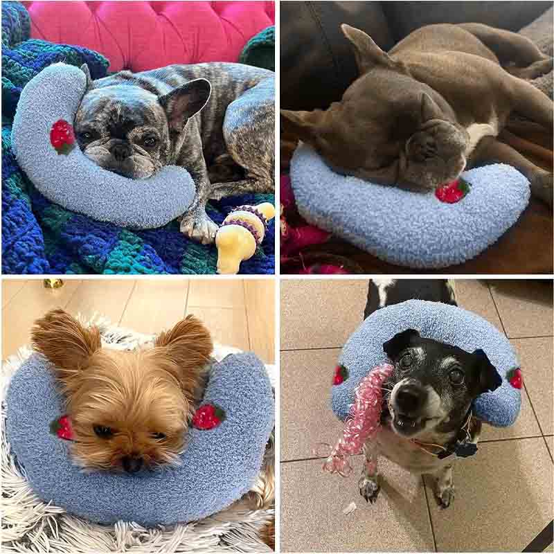 collage of small dogs sleeping on a calming dog pillow