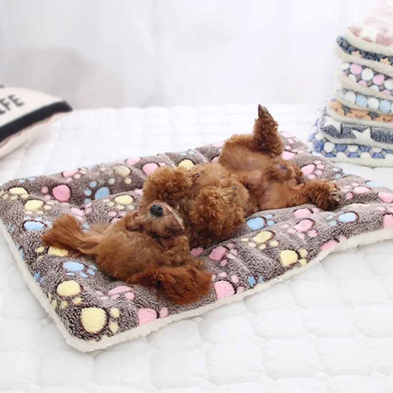 miniature poodle sleeping on a calming pet blanket