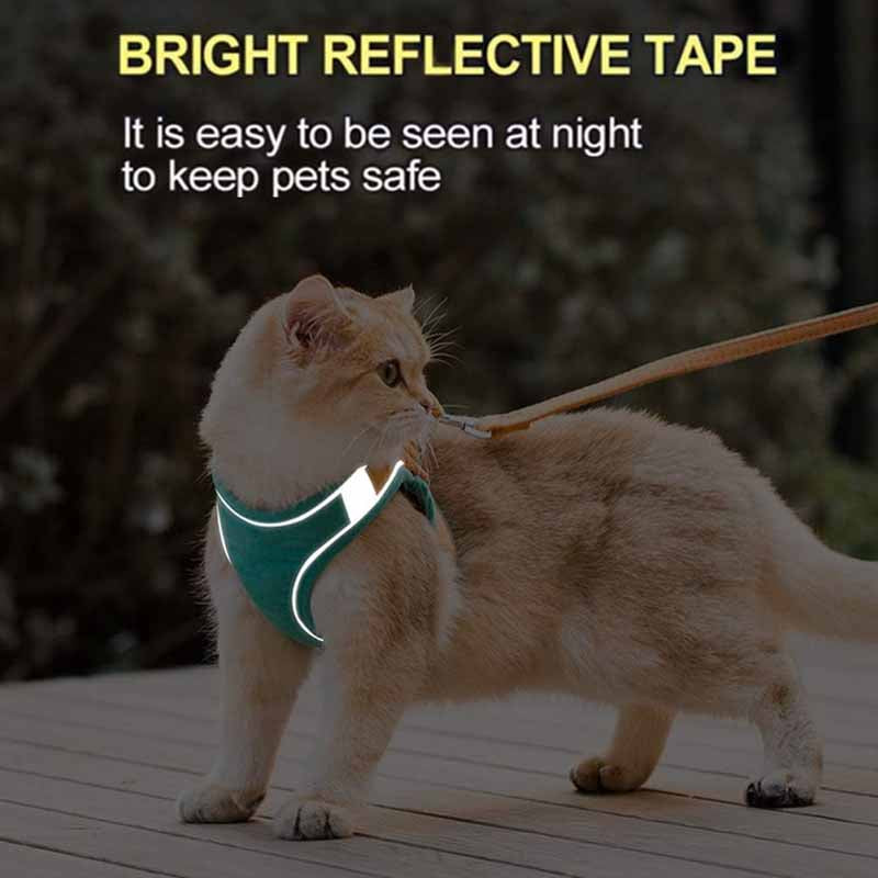 reflective harness for cats