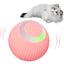 pink automatic toy ball with a white cat