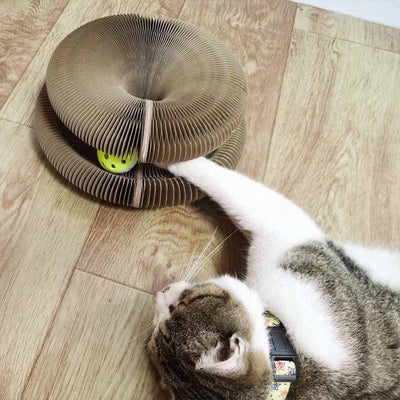 cat playing with round scratch toy with ball