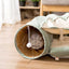 white cat inside a tunnel hideaway bed