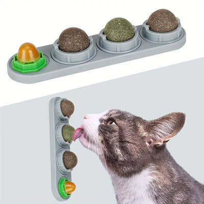 cat licking catnip balls that stick on wall