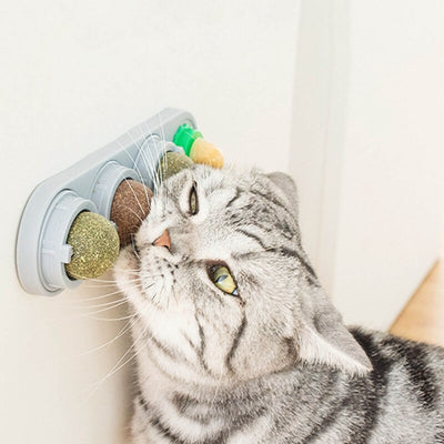 grey cat licking on catnip balls