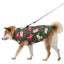 shiba inu in a green christmas dog jacket