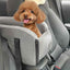 toy poodle sitting in a suede console car seat