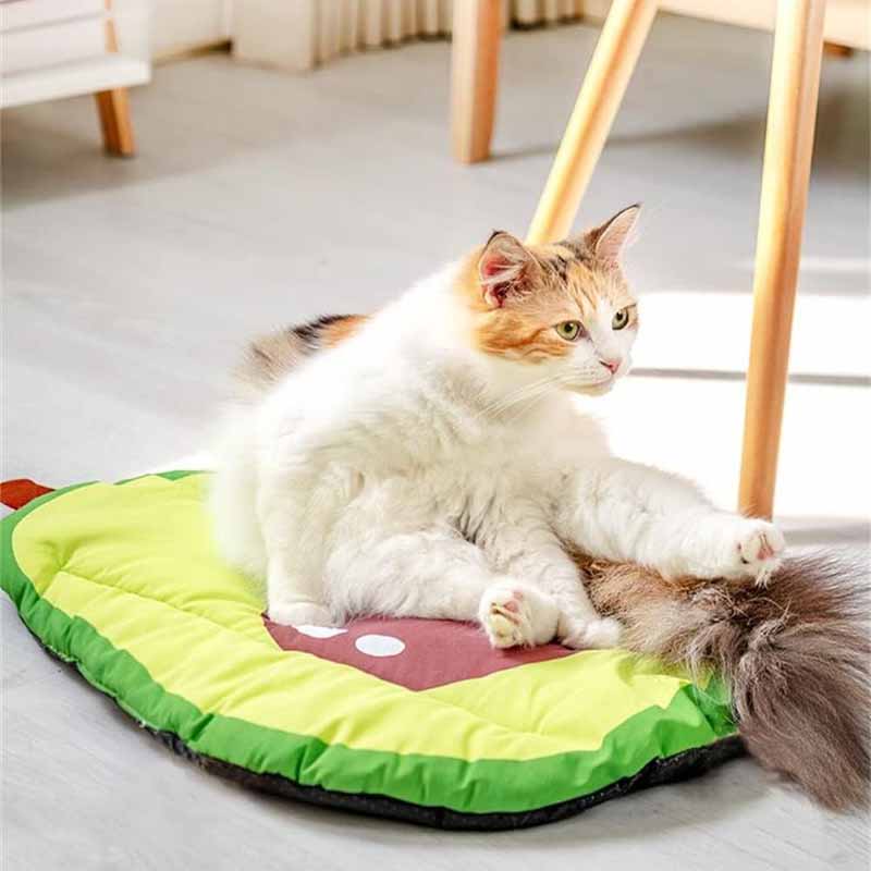 cat sitting on a cartoon avocado cooling mat