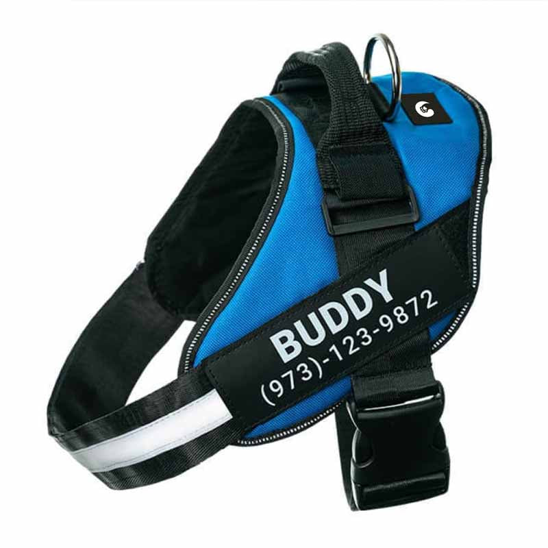 blue customized dog harness