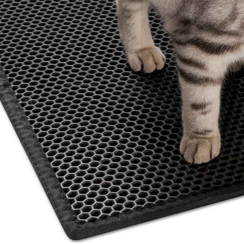 cat paws on litter mat with holes