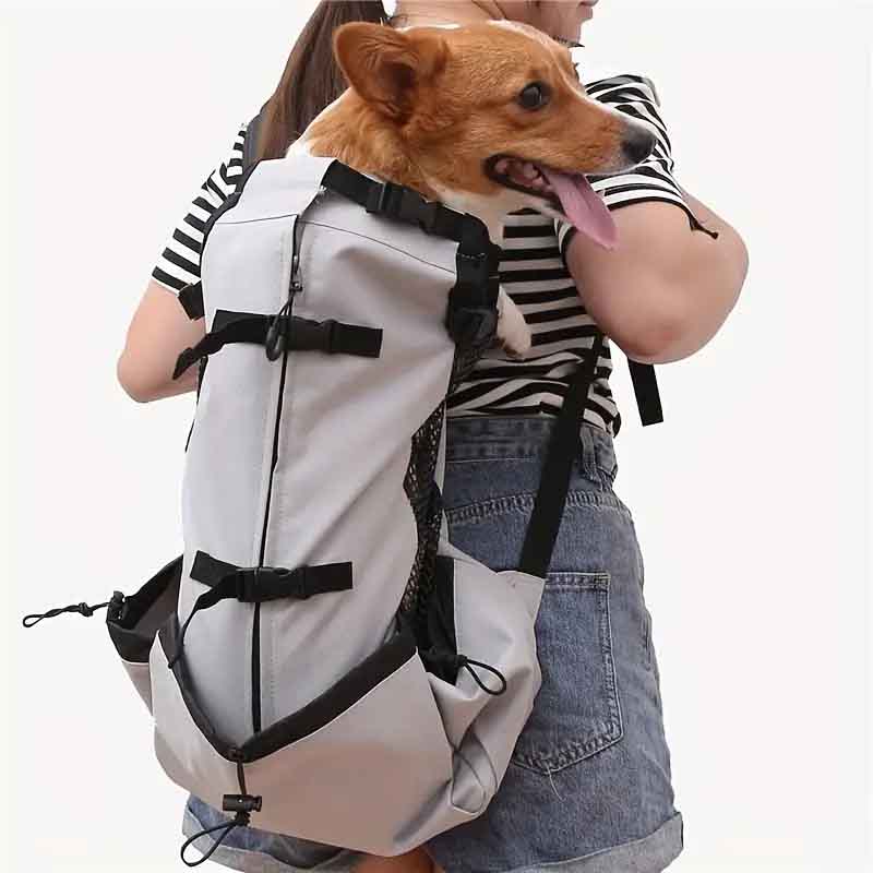 woman carrying jack terrier in grey dog carrier backpack