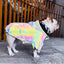 french bulldog wearing gray reflective vest