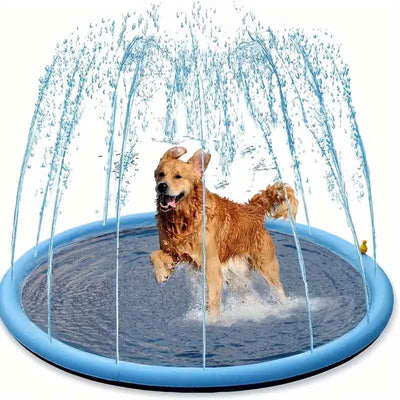 dog playing in a splash pad
