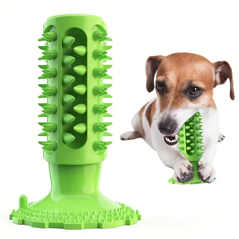 jack russel chewing on a green teeth-cleaning toy