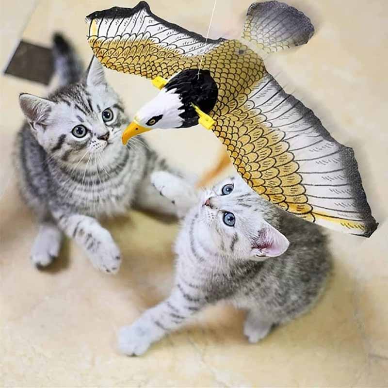 cats playing with electric flying eagle toy