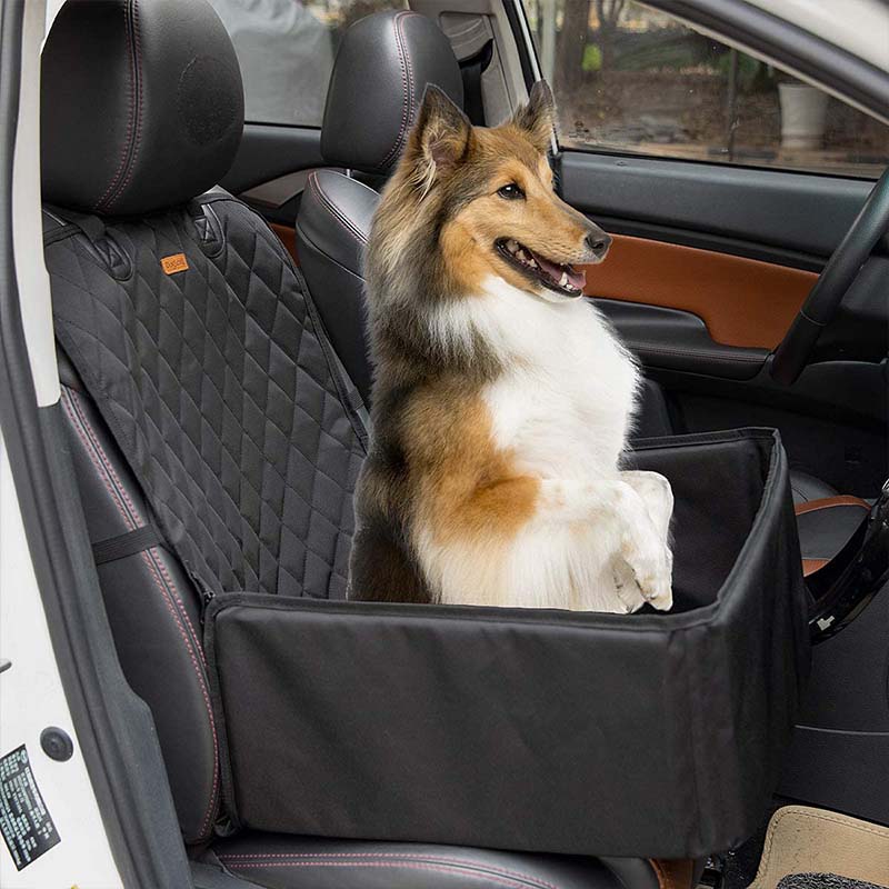 single car seat for dogs