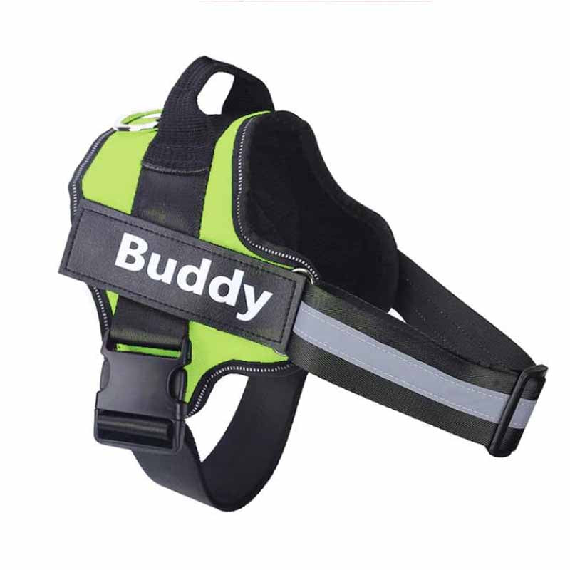 green custom dog harness with name