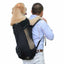 man carrying labrador in black backpack carrier for dogs