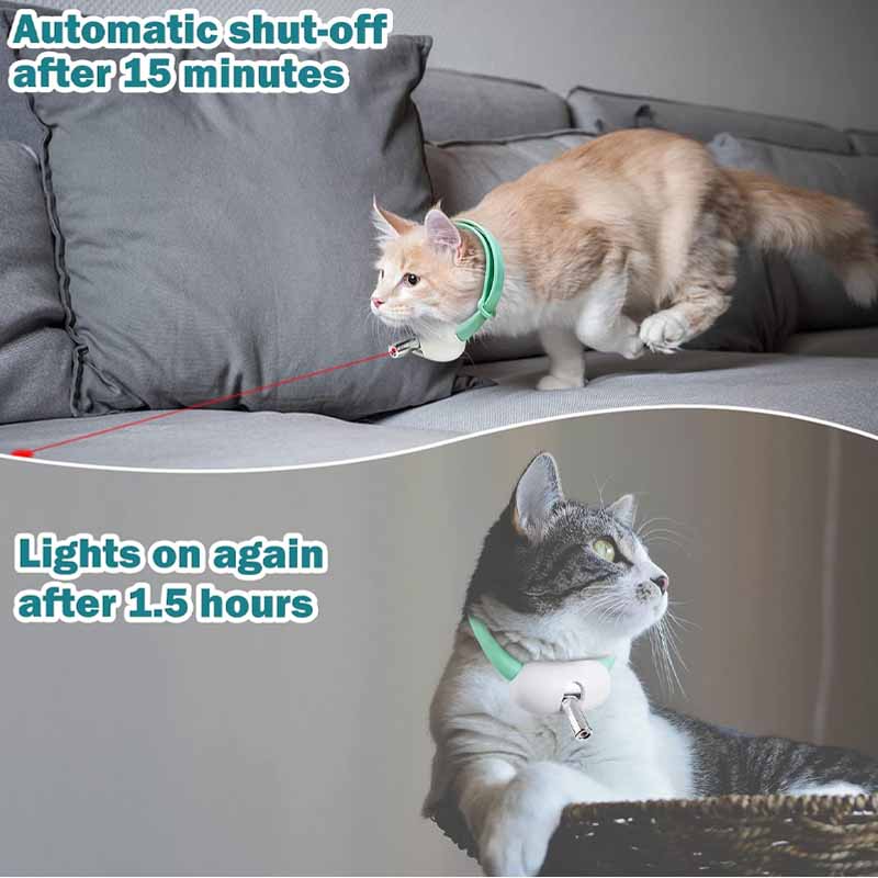 cats with a laser collar 