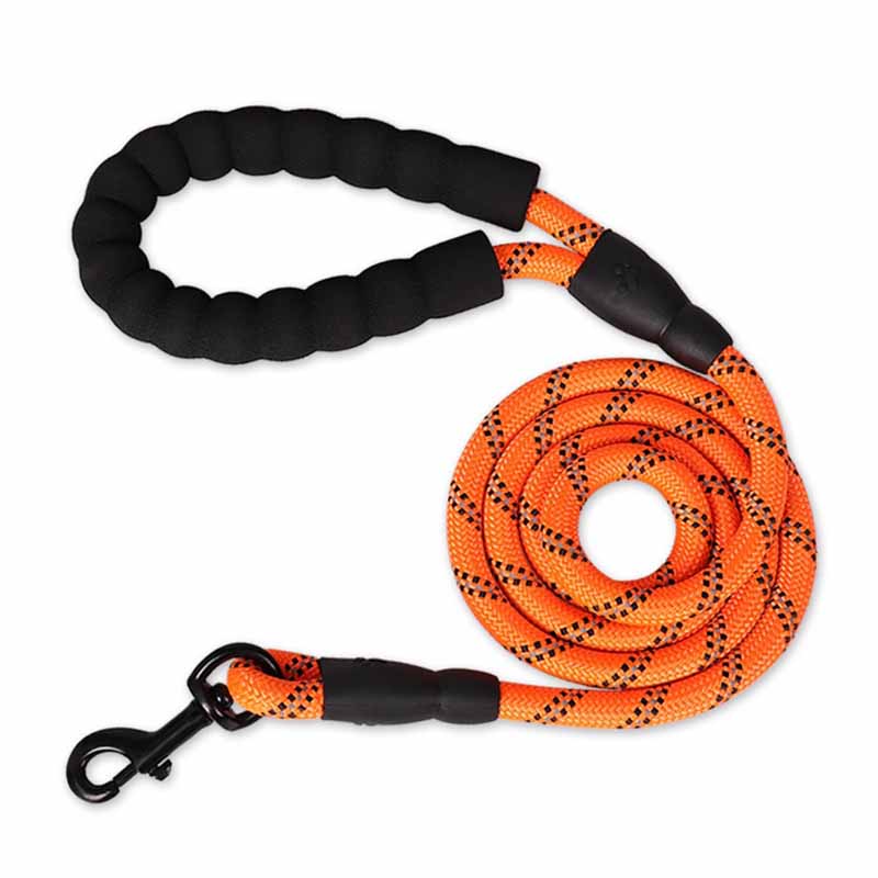 orange rope leash for dogs