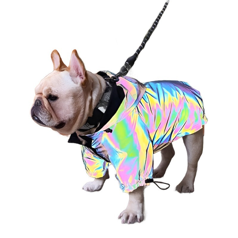 frenchie wearing reflective dog vest