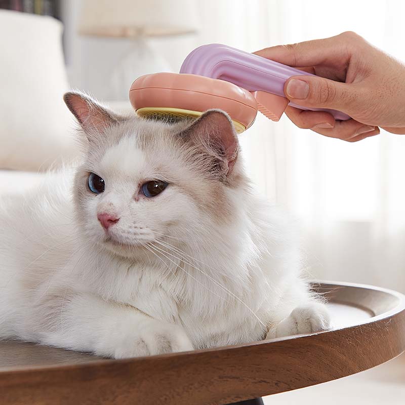 brushing a white cat with a self-cleaning pet brush