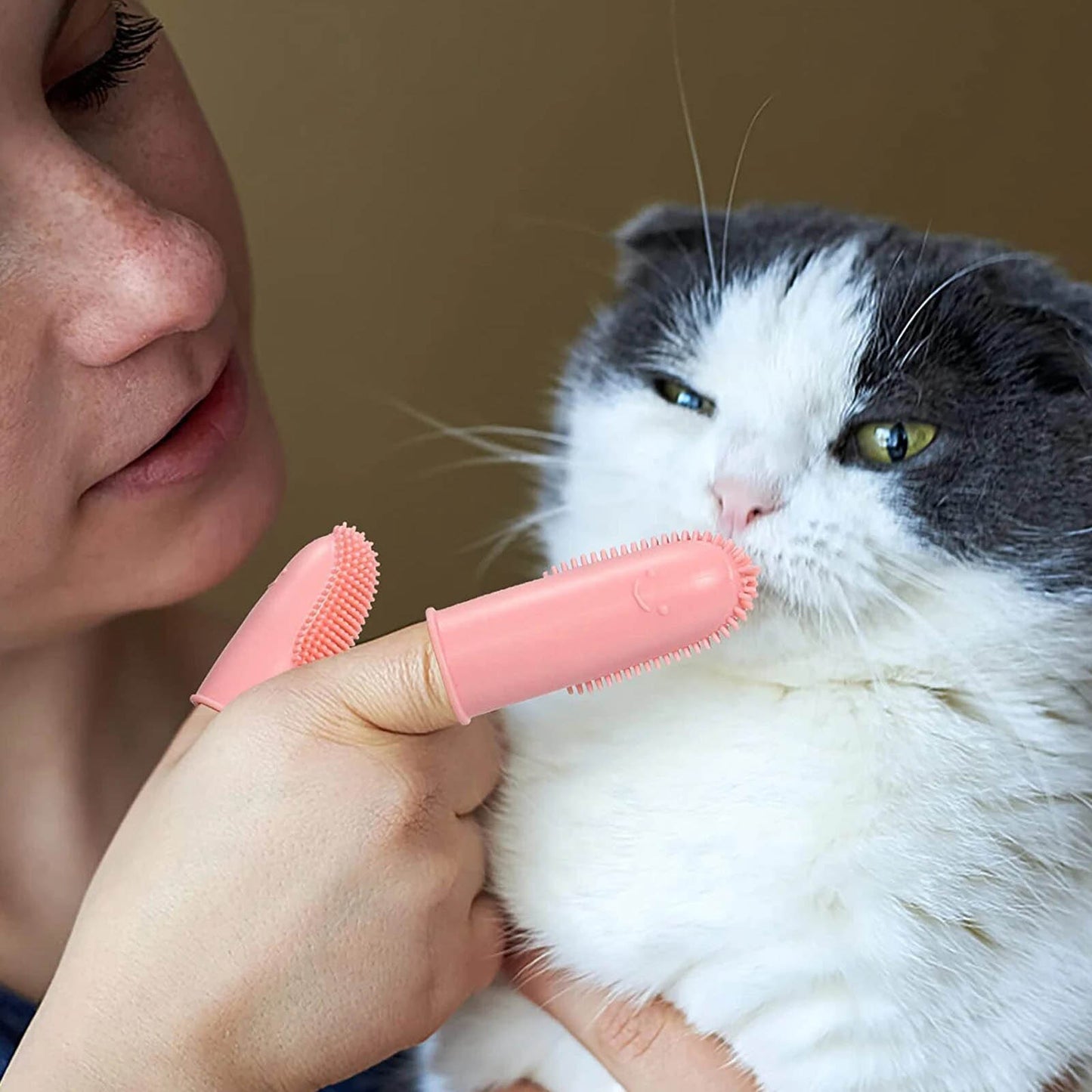 brushing cat teeth with silicone finger toothbrush