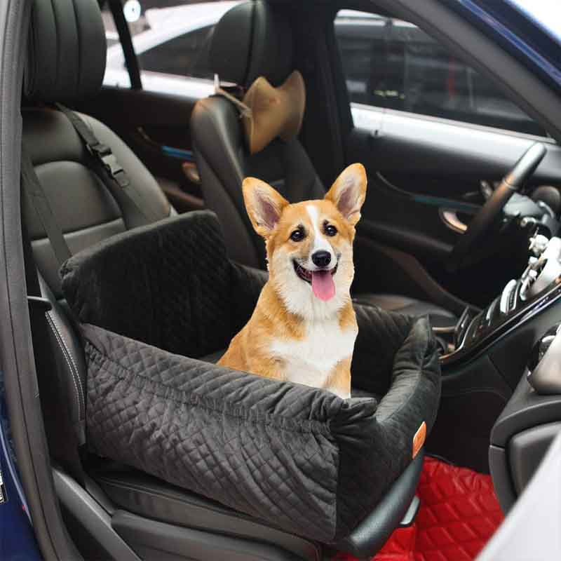small dog sitting inside a luxury car seat