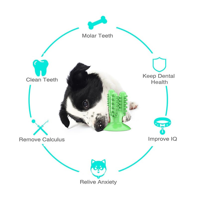 cactus shaped teeth cleaning dog toy benefits