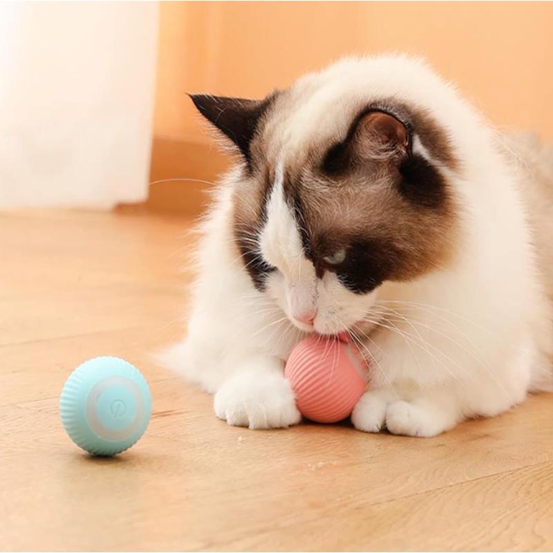 cat licking automatic ball toy