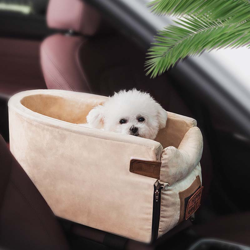 small dog in car console seat